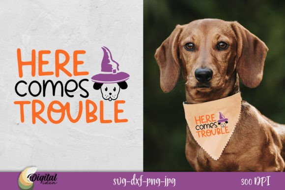 Here Comes Trouble: A Designer's Review for Real Embroidery Projects